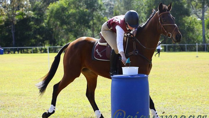 Formal affair for Pony Club rising star at States