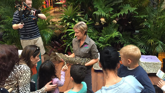 Geckoes Wildlife Show