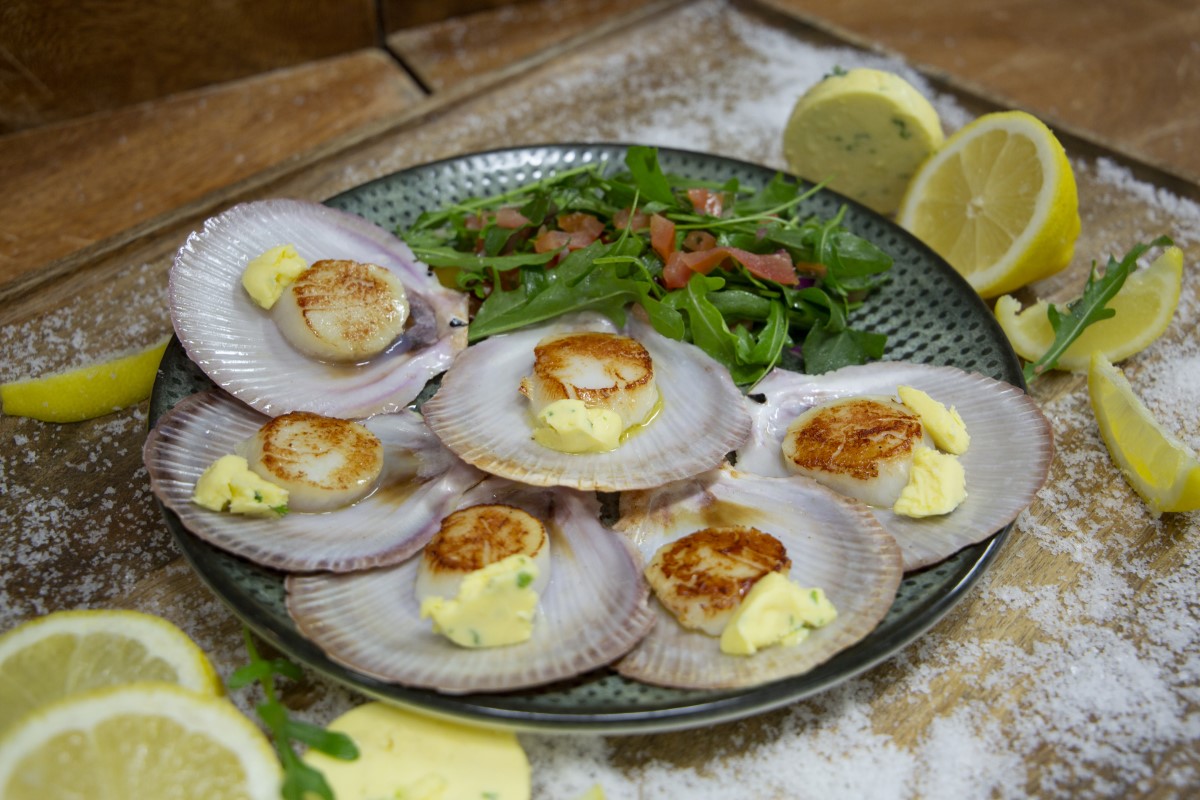 Caboolture Sports Club Hervey Bay Scallops Caboolture Sports Club