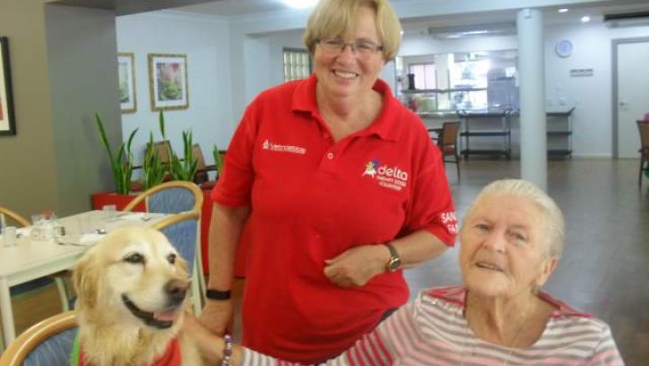 Ekka Sundaes Sales Help Delta Dogs