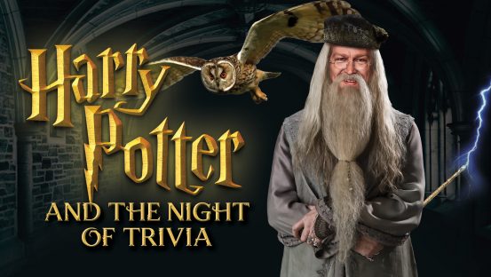 Harry Potter and the Night of Trivia